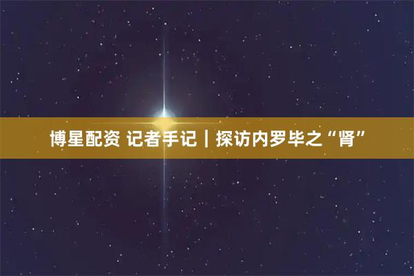 博星配资 记者手记｜探访内罗毕之“肾”