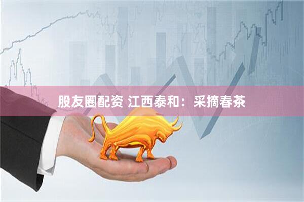 股友圈配资 江西泰和：采摘春茶