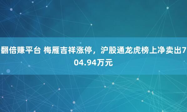 翻倍赚平台 梅雁吉祥涨停，沪股通龙虎榜上净卖出704.94万元