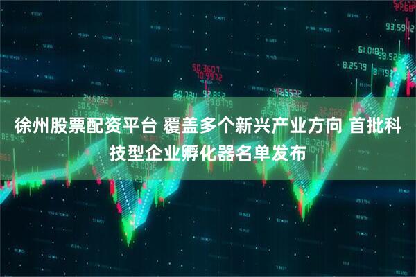 徐州股票配资平台 覆盖多个新兴产业方向 首批科技型企业孵化器名单发布