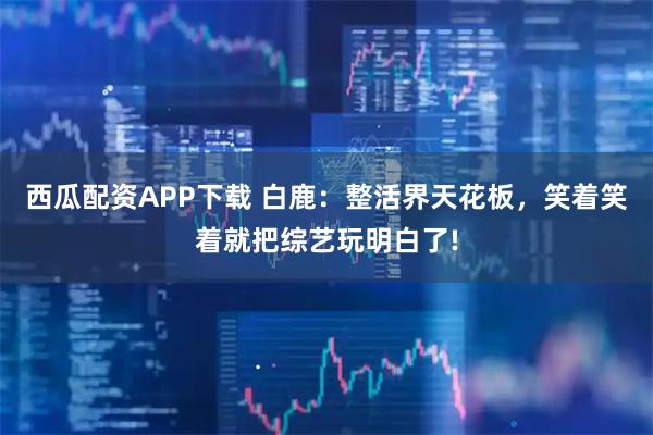 西瓜配资APP下载 白鹿：整活界天花板，笑着笑着就把综艺玩明白了!